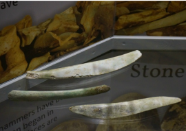 Animal bone tools used at Great Orme copper mine